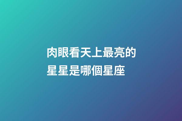 肉眼看天上最亮的星星是哪個星座-第1張-星座運勢-玄機派
