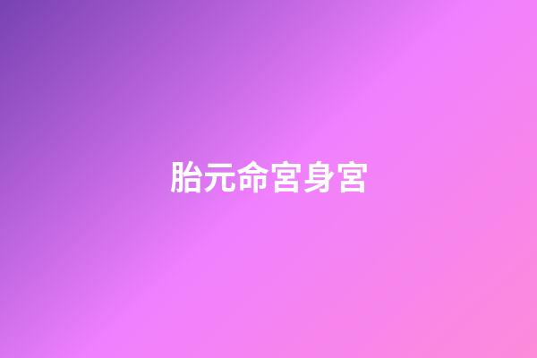 胎元命宮身宮