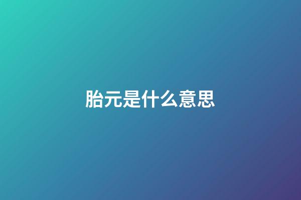 胎元是什么意思