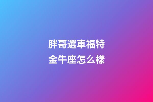 胖哥選車福特金牛座怎么樣-第1張-星座運勢-玄機派