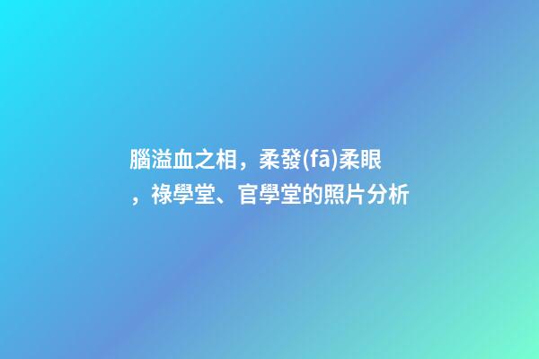 腦溢血之相，柔發(fā)柔眼，祿學堂、官學堂的照片分析