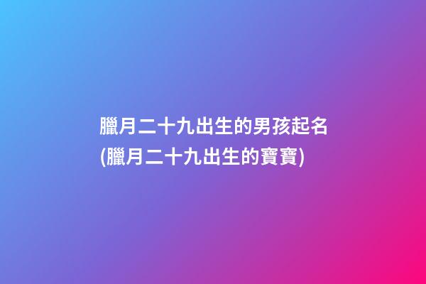 臘月二十九出生的男孩起名(臘月二十九出生的寶寶)