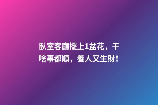 臥室客廳擺上1盆花，干啥事都順，養人又生財！