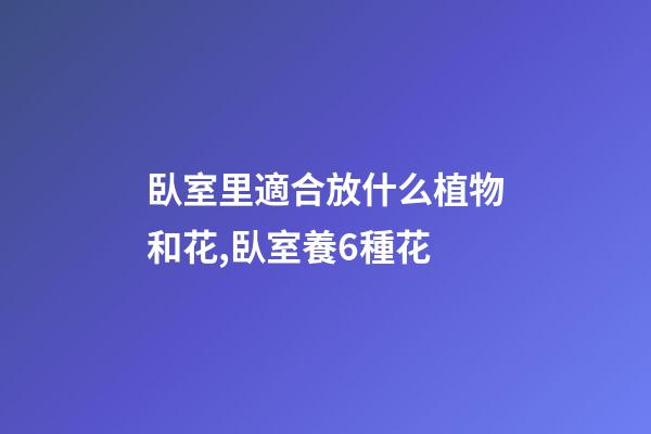 臥室里適合放什么植物和花,臥室養6種花-第1張-觀點-玄機派