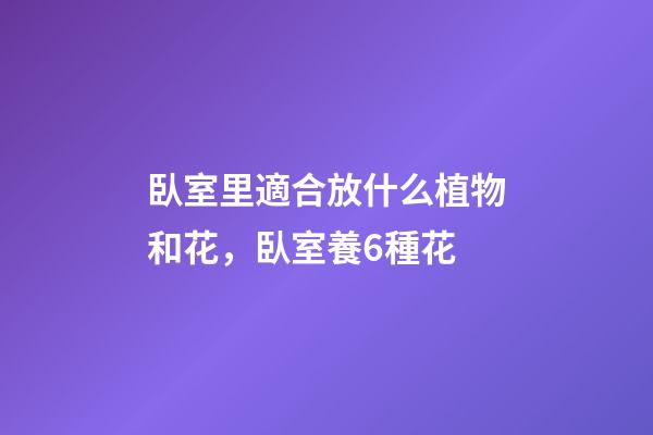臥室里適合放什么植物和花，臥室養6種花-第1張-觀點-玄機派
