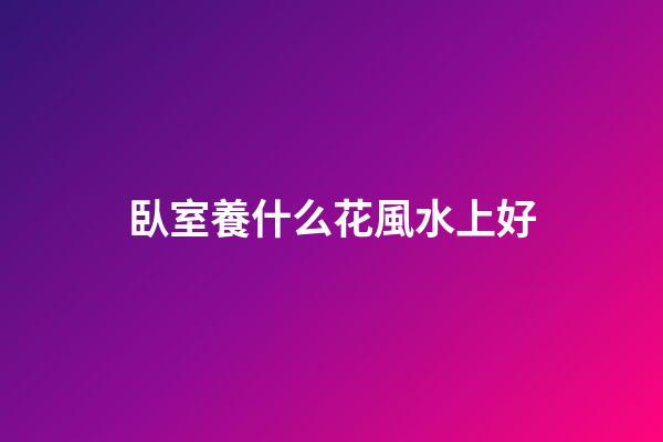 臥室養什么花風水上好