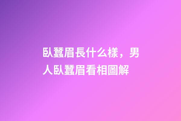 臥蠶眉長什么樣，男人臥蠶眉看相圖解