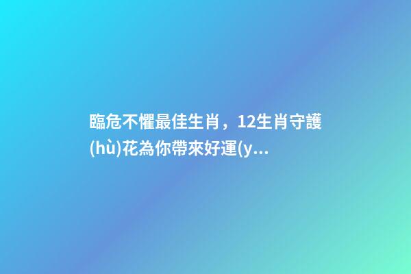 臨危不懼最佳生肖，12生肖守護(hù)花為你帶來好運(yùn)!-第1張-觀點(diǎn)-玄機(jī)派