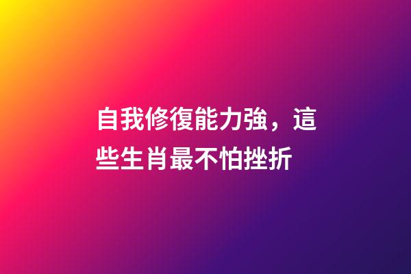 自我修復能力強，這些生肖最不怕挫折