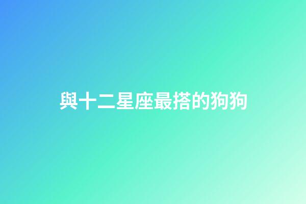 與十二星座最搭的狗狗-第1張-星座運勢-玄機派