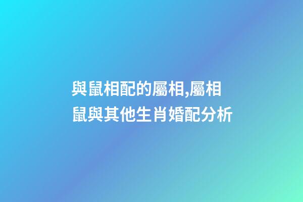 與鼠相配的屬相,屬相鼠與其他生肖婚配分析-第1張-觀點-玄機派
