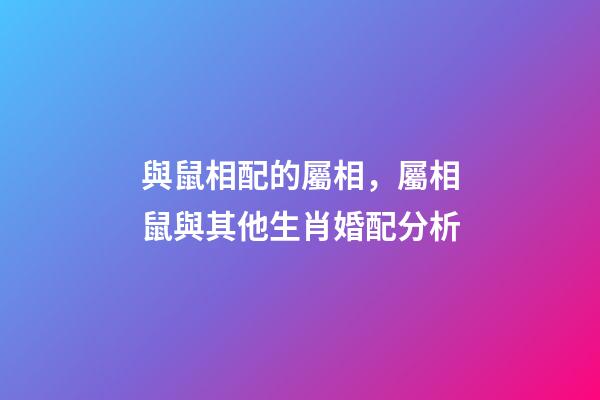 與鼠相配的屬相，屬相鼠與其他生肖婚配分析-第1張-觀點-玄機派