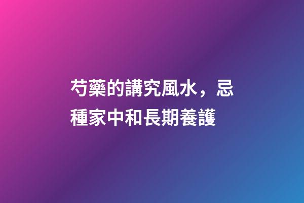芍藥的講究風水，忌種家中和長期養護