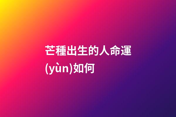 芒種出生的人命運(yùn)如何