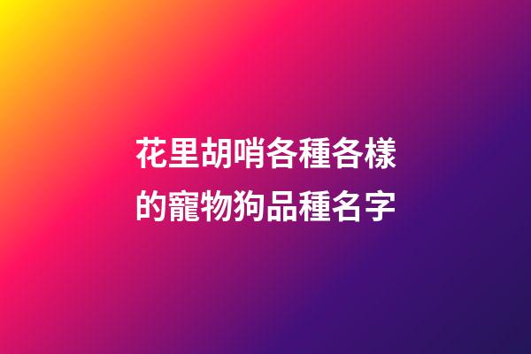 花里胡哨各種各樣的寵物狗品種名字