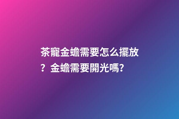 茶寵金蟾需要怎么擺放？金蟾需要開光嗎？