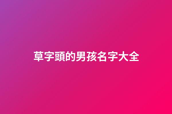 草字頭的男孩名字大全