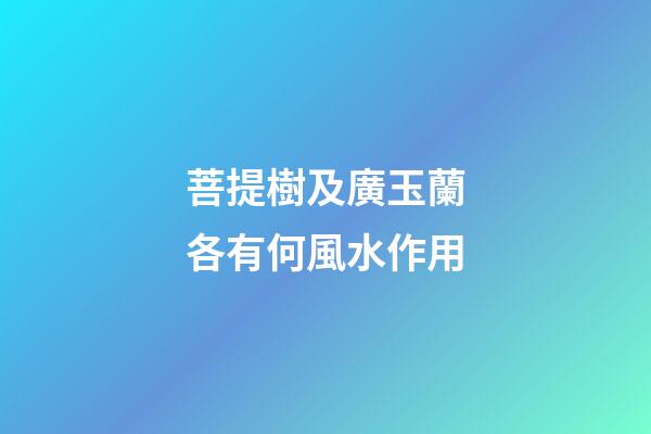 菩提樹及廣玉蘭各有何風水作用?