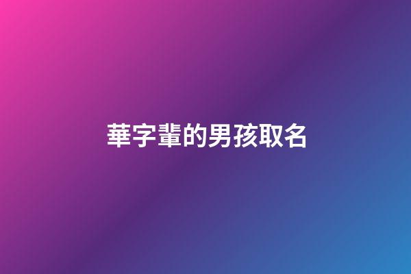華字輩的男孩取名(華字輩寶寶名字大全)-第1張-男孩起名-玄機派