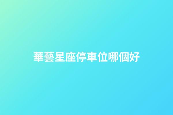 華藝星座停車位哪個好
