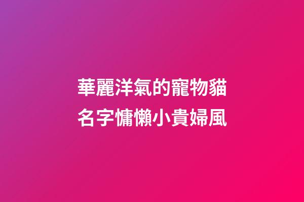 華麗洋氣的寵物貓名字慵懶小貴婦風