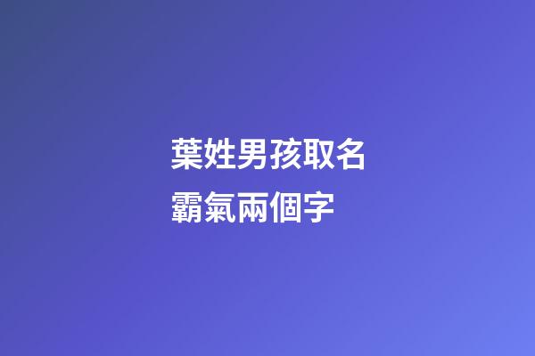 葉姓男孩取名霸氣兩個字(姓葉的兩字男孩名字)-第1張-男孩起名-玄機派