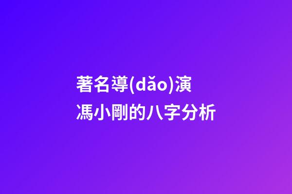 著名導(dǎo)演馮小剛的八字分析