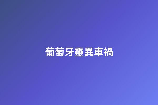 葡萄牙靈異車禍
