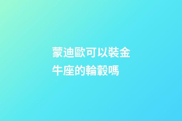 蒙迪歐可以裝金牛座的輪轂嗎