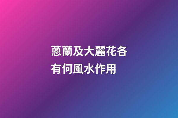 蔥蘭及大麗花各有何風水作用?