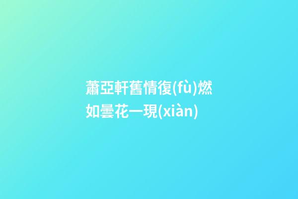 蕭亞軒舊情復(fù)燃如曇花一現(xiàn)