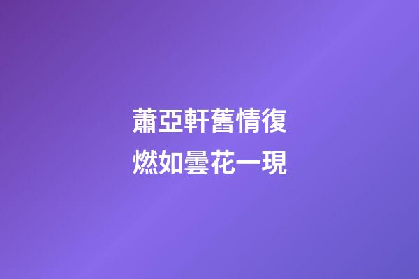 蕭亞軒舊情復燃如曇花一現