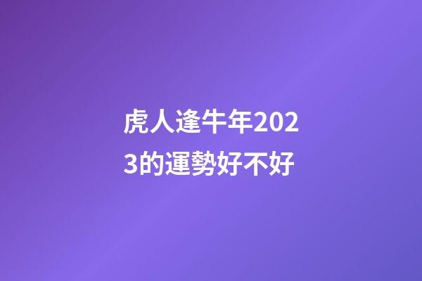 虎人逢牛年2023的運勢好不好