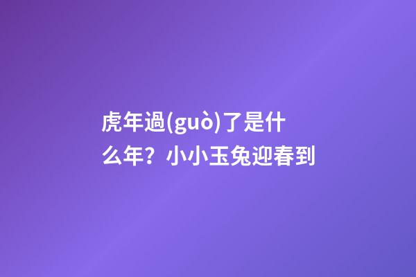 虎年過(guò)了是什么年？小小玉兔迎春到