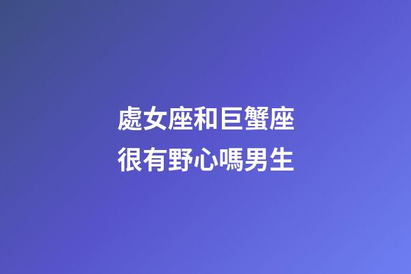 處女座和巨蟹座很有野心嗎男生-第1張-星座運勢-玄機派