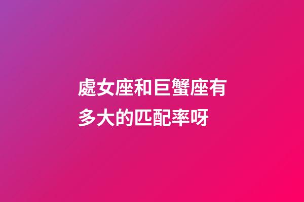 處女座和巨蟹座有多大的匹配率呀-第1張-星座運勢-玄機派