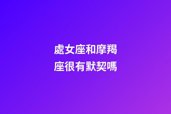 處女座和摩羯座很有默契嗎-第1張-星座運勢-玄機派