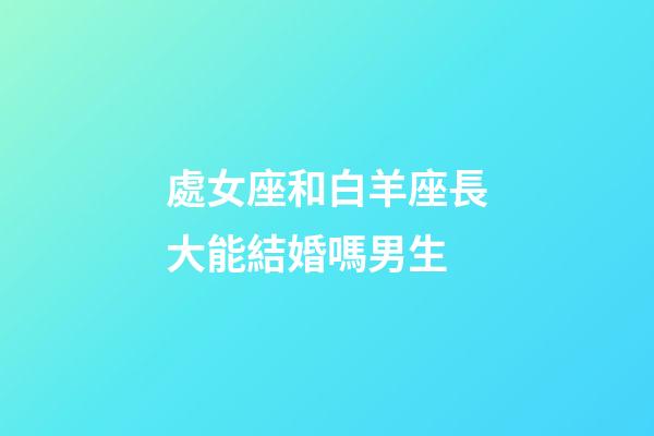 處女座和白羊座長大能結婚嗎男生-第1張-星座運勢-玄機派