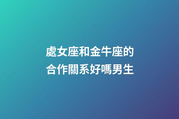 處女座和金牛座的合作關系好嗎男生-第1張-星座運勢-玄機派