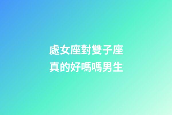 處女座對雙子座真的好嗎嗎男生-第1張-星座運勢-玄機派