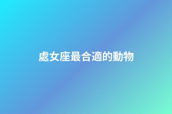 處女座最合適的動物