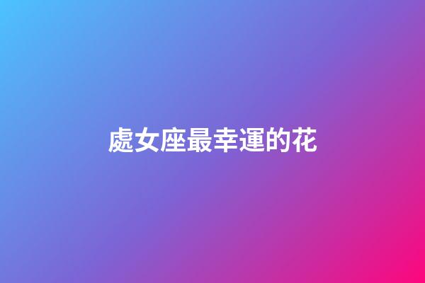 處女座最幸運的花-第1張-星座運勢-玄機派