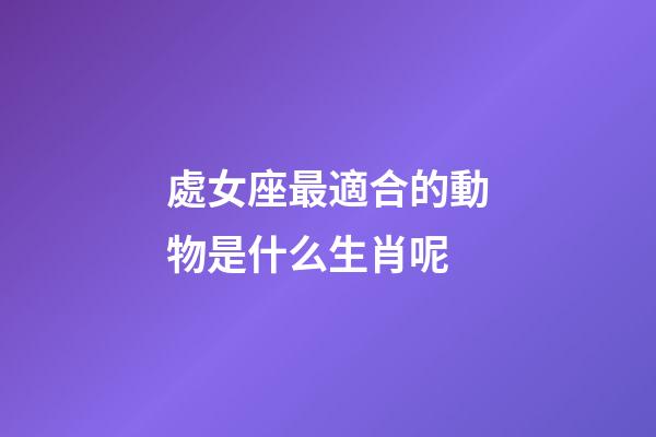 處女座最適合的動物是什么生肖呢-第1張-星座運勢-玄機派