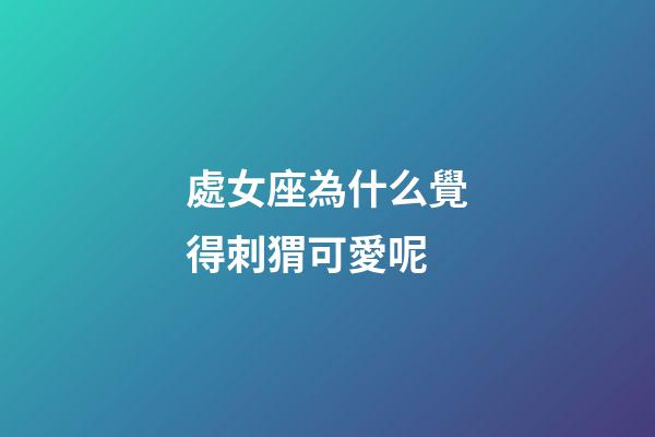 處女座為什么覺得刺猬可愛呢