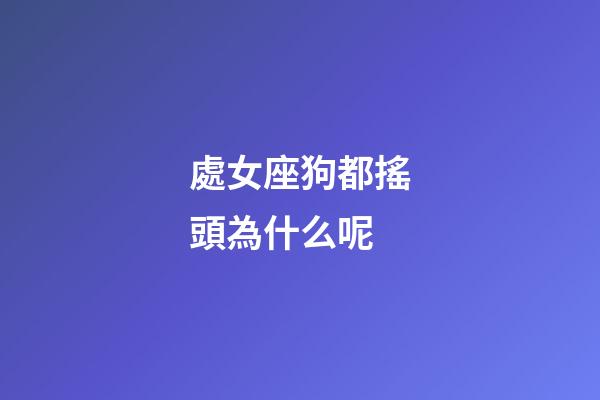 處女座狗都搖頭為什么呢-第1張-星座運(yùn)勢(shì)-玄機(jī)派