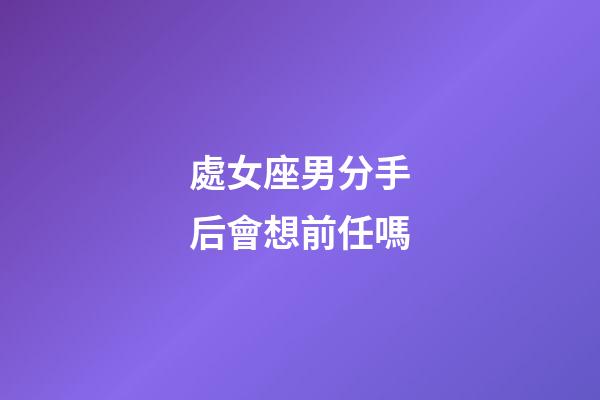 處女座男分手后會想前任嗎-第1張-星座運勢-玄機派