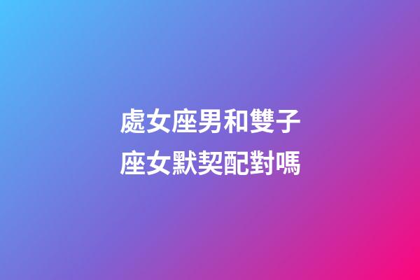 處女座男和雙子座女默契配對嗎-第1張-星座運勢-玄機派