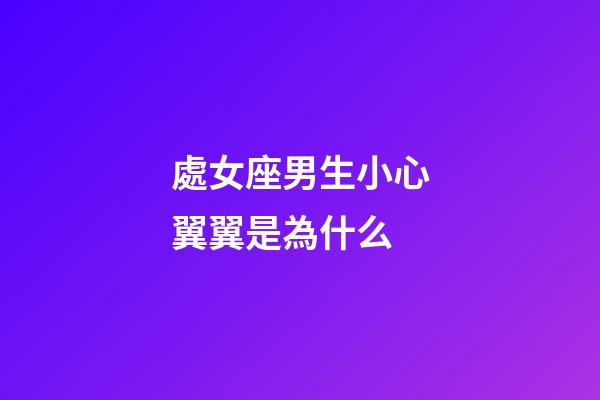 處女座男生小心翼翼是為什么-第1張-星座運(yùn)勢(shì)-玄機(jī)派