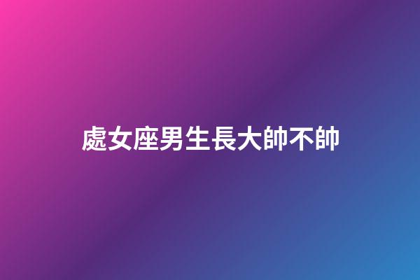 處女座男生長大帥不帥-第1張-星座運勢-玄機派