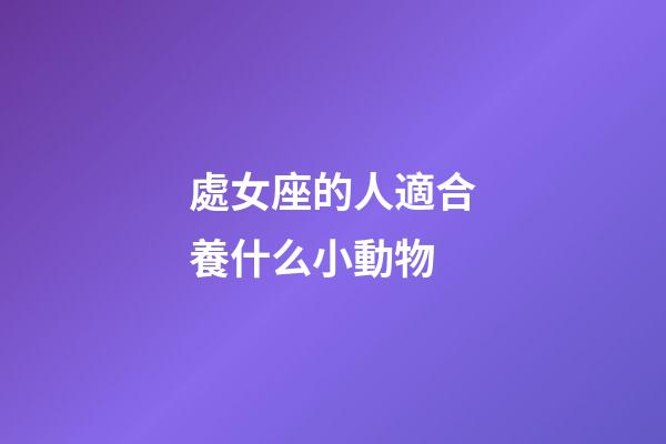 處女座的人適合養什么小動物-第1張-星座運勢-玄機派